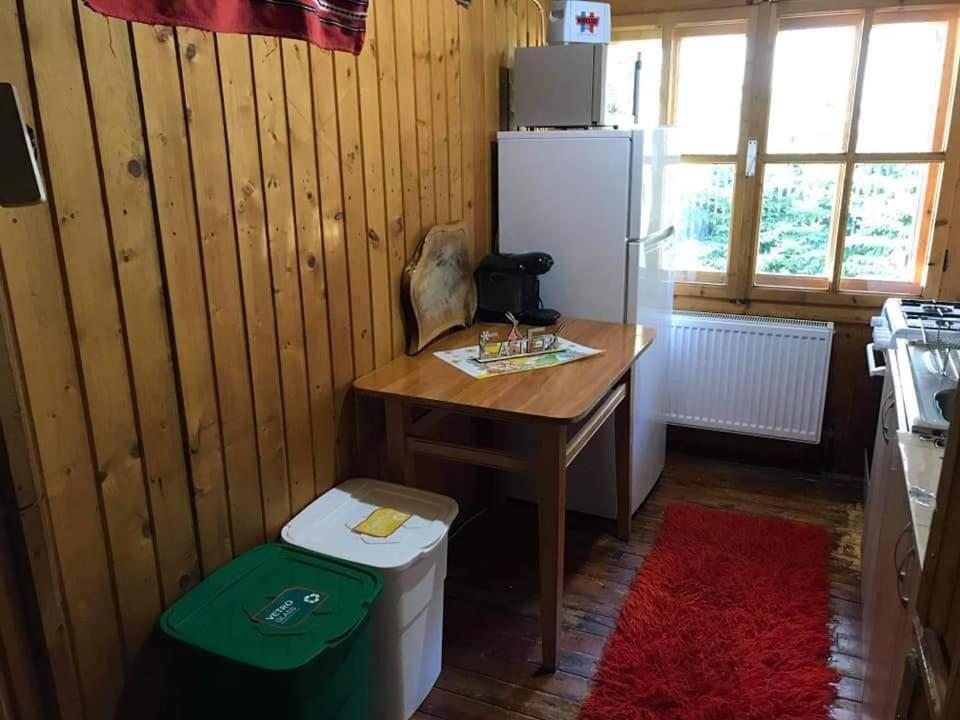 Vila Cabana Sabrina Bran  Exteriér fotografie
