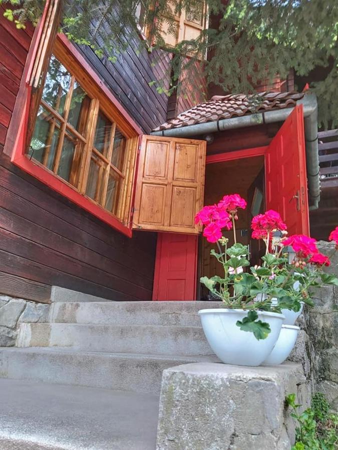 Vila Cabana Sabrina Bran  Exteriér fotografie