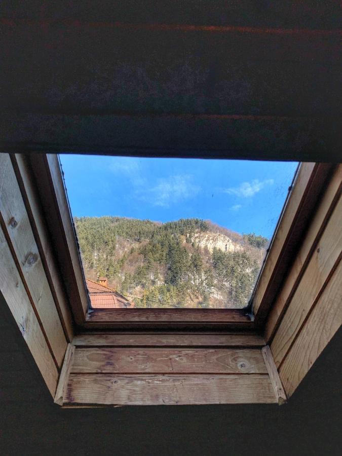 Vila Cabana Sabrina Bran  Exteriér fotografie