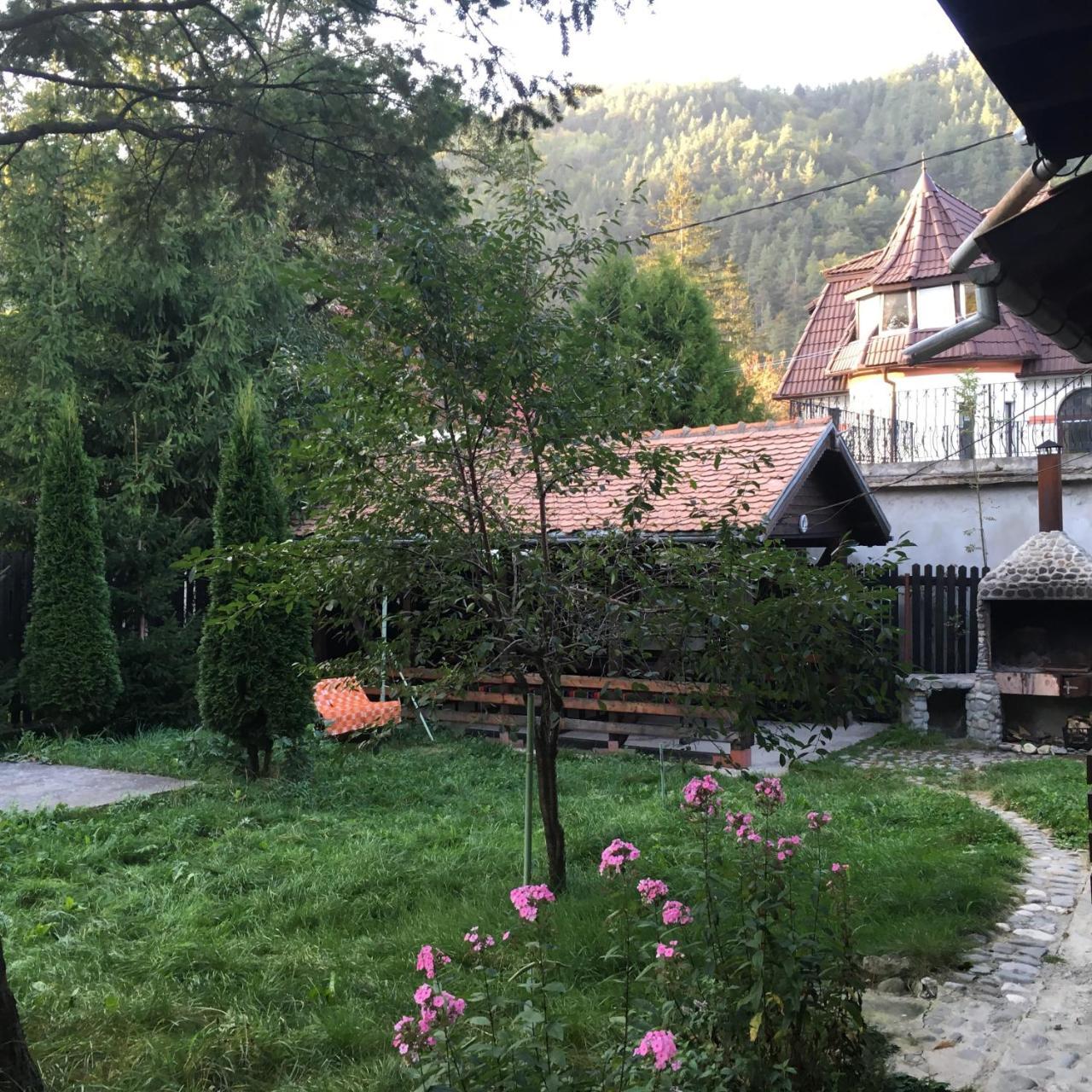 Vila Cabana Sabrina Bran  Exteriér fotografie