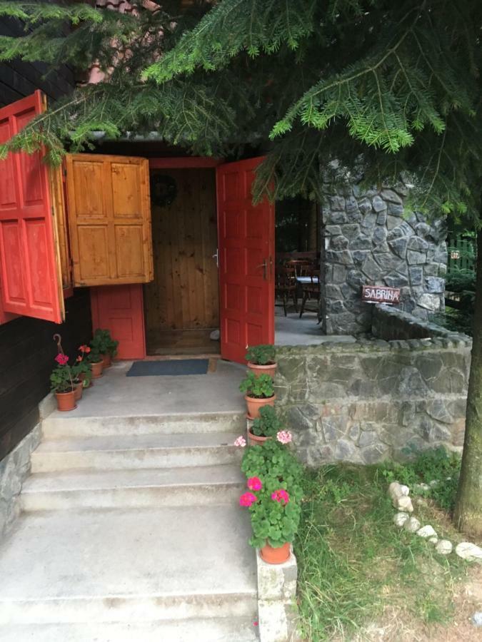 Vila Cabana Sabrina Bran  Exteriér fotografie